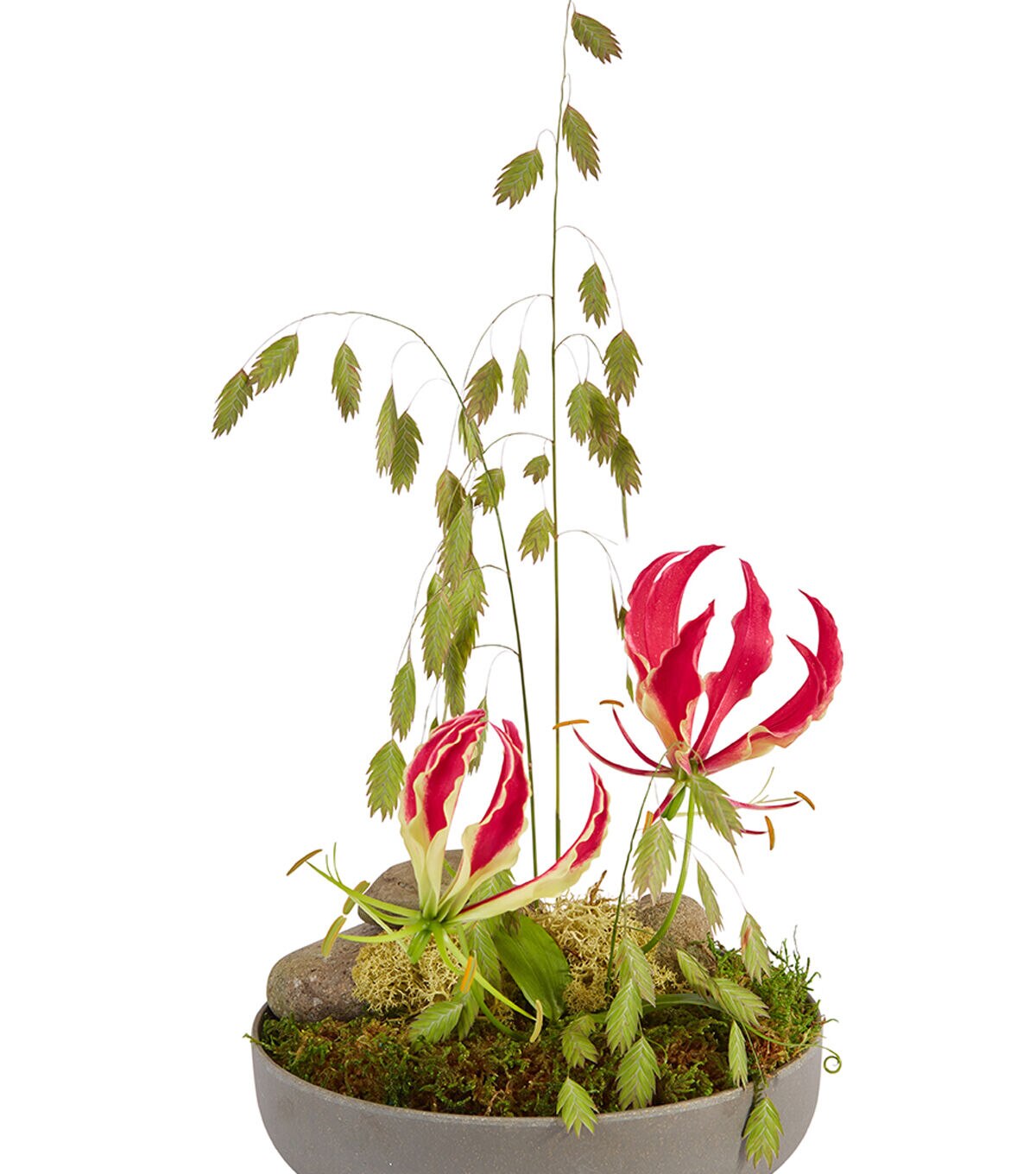 OASIS Ecossentials 9.5