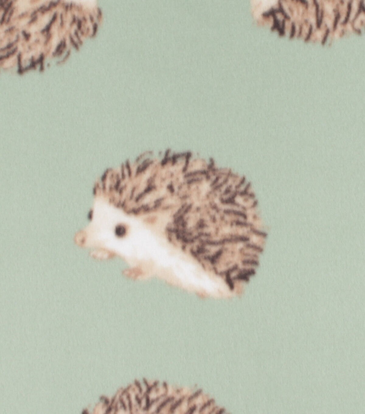 Hedgehogs On Teal Blizzard Fleece Fabric
