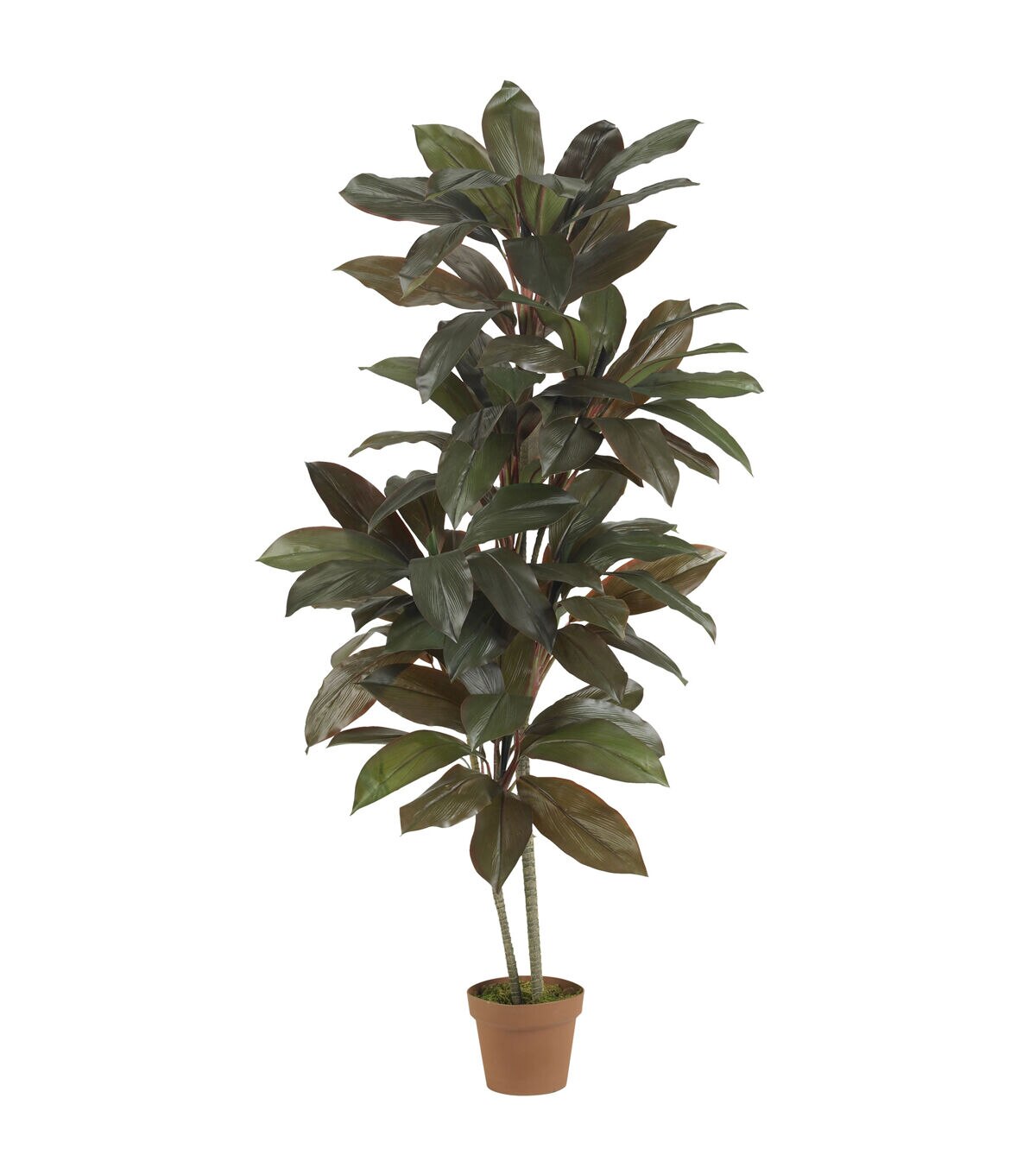 Nearly Natural 5ft. Cordyline Silk Plant (Real Touch)