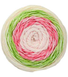 Premier Yarns Sweet Roll Frostie 245yds Worsted Acrylic Yarn