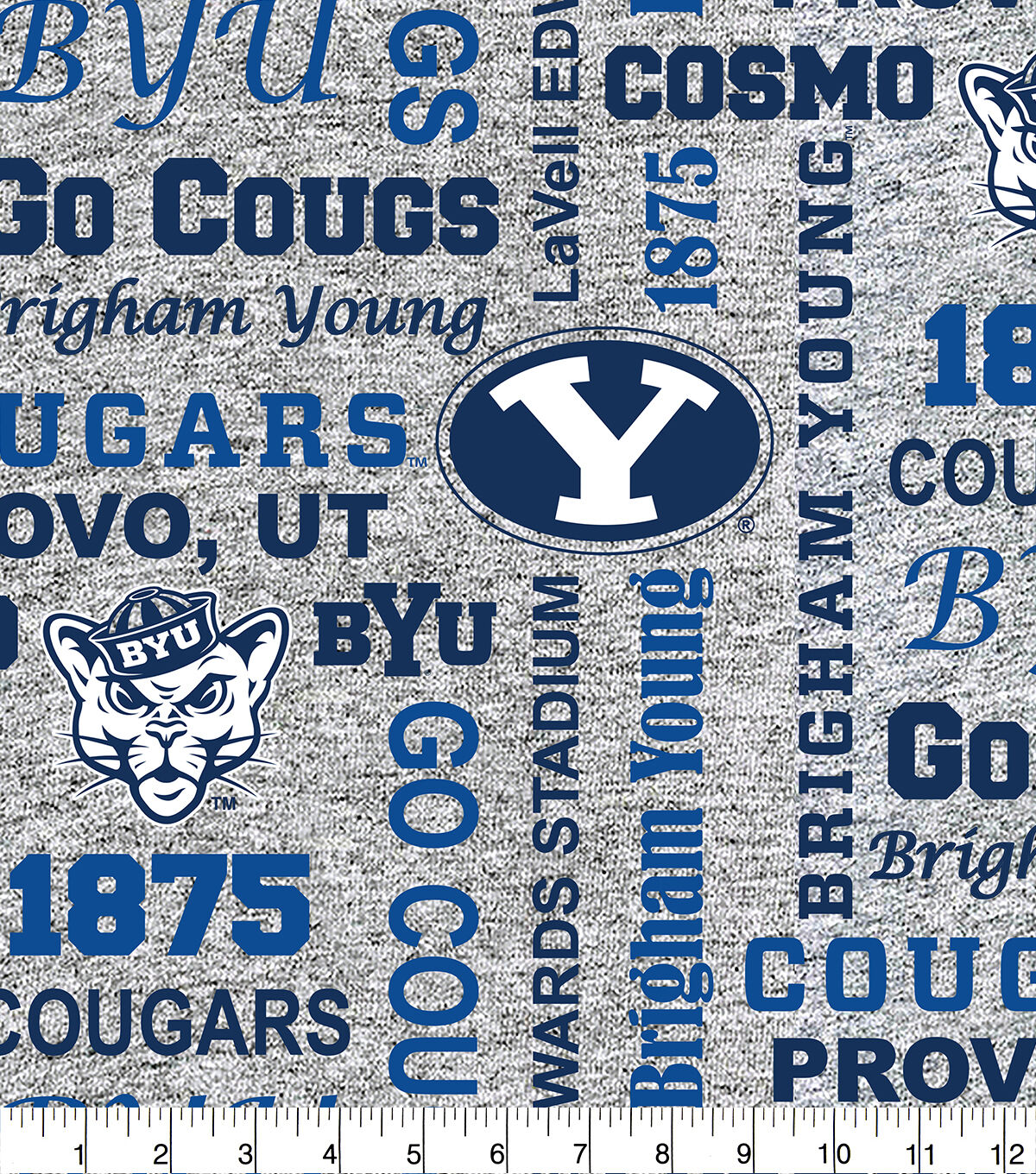 Brigham Young University Fleece Fabric Heather Verbiage
