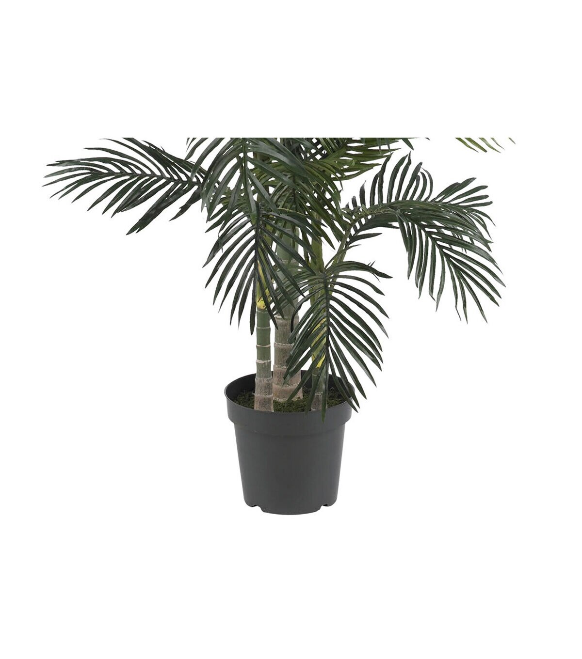 Nearly Natural Golden Cane Palm Tree