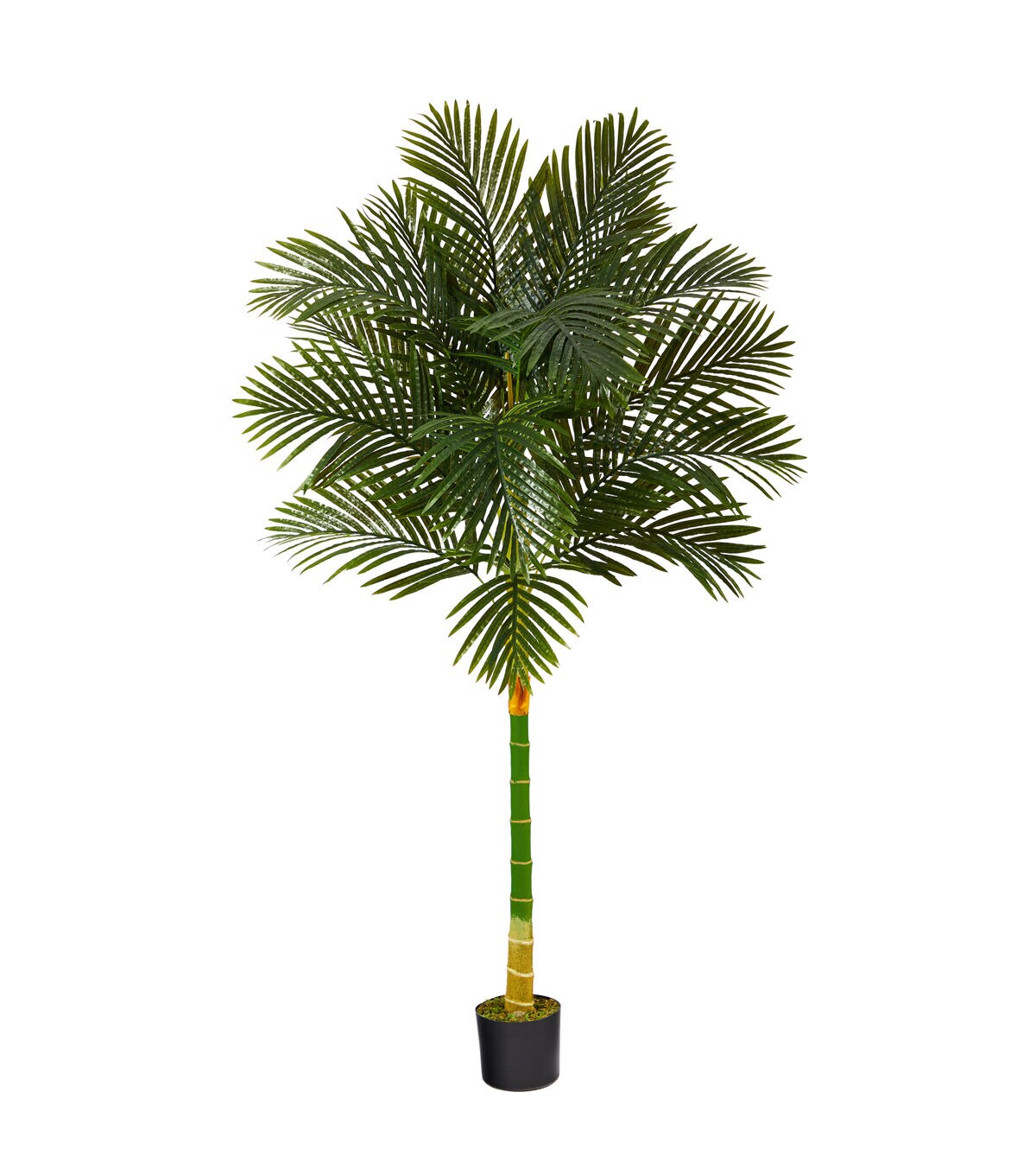 Nearly Natural 6' Thin Golden Cane Artificial Palm Tree