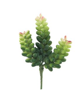 Flora Bunda 12ct Donkey Tail Artificial Succulent Plants