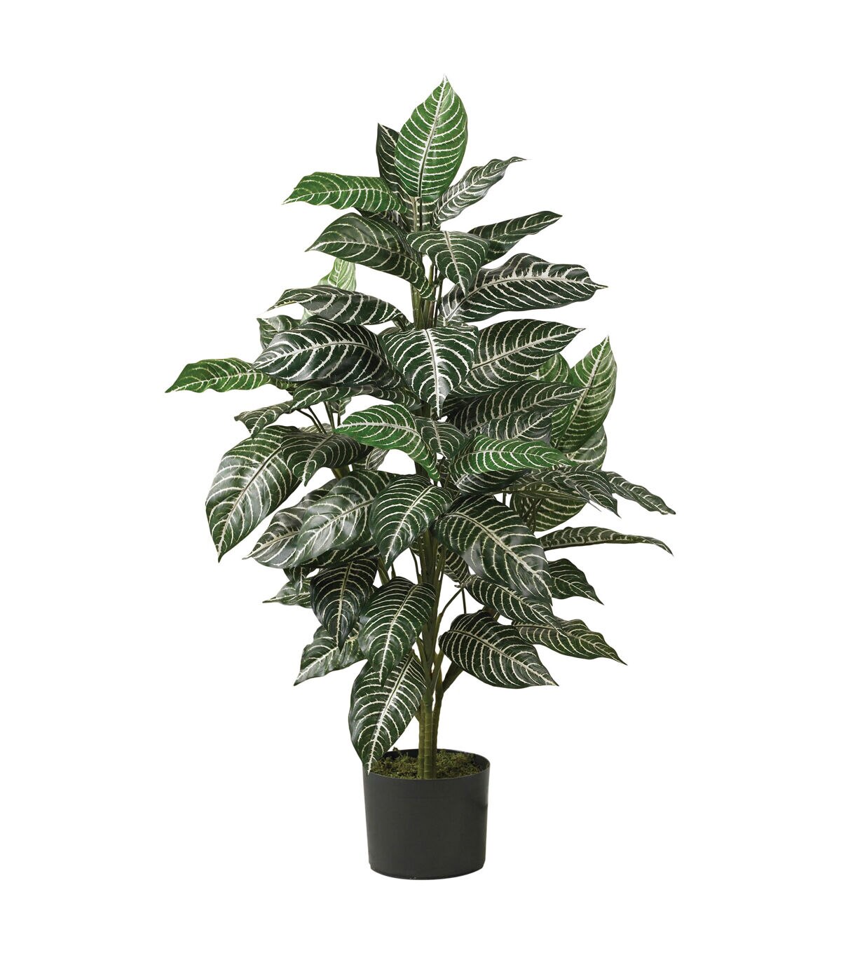 Nearly Natural Zebra Silk Plant