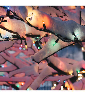 Northlight 4' Multicolor 20ct Mini Christmas Lights With Green Wire