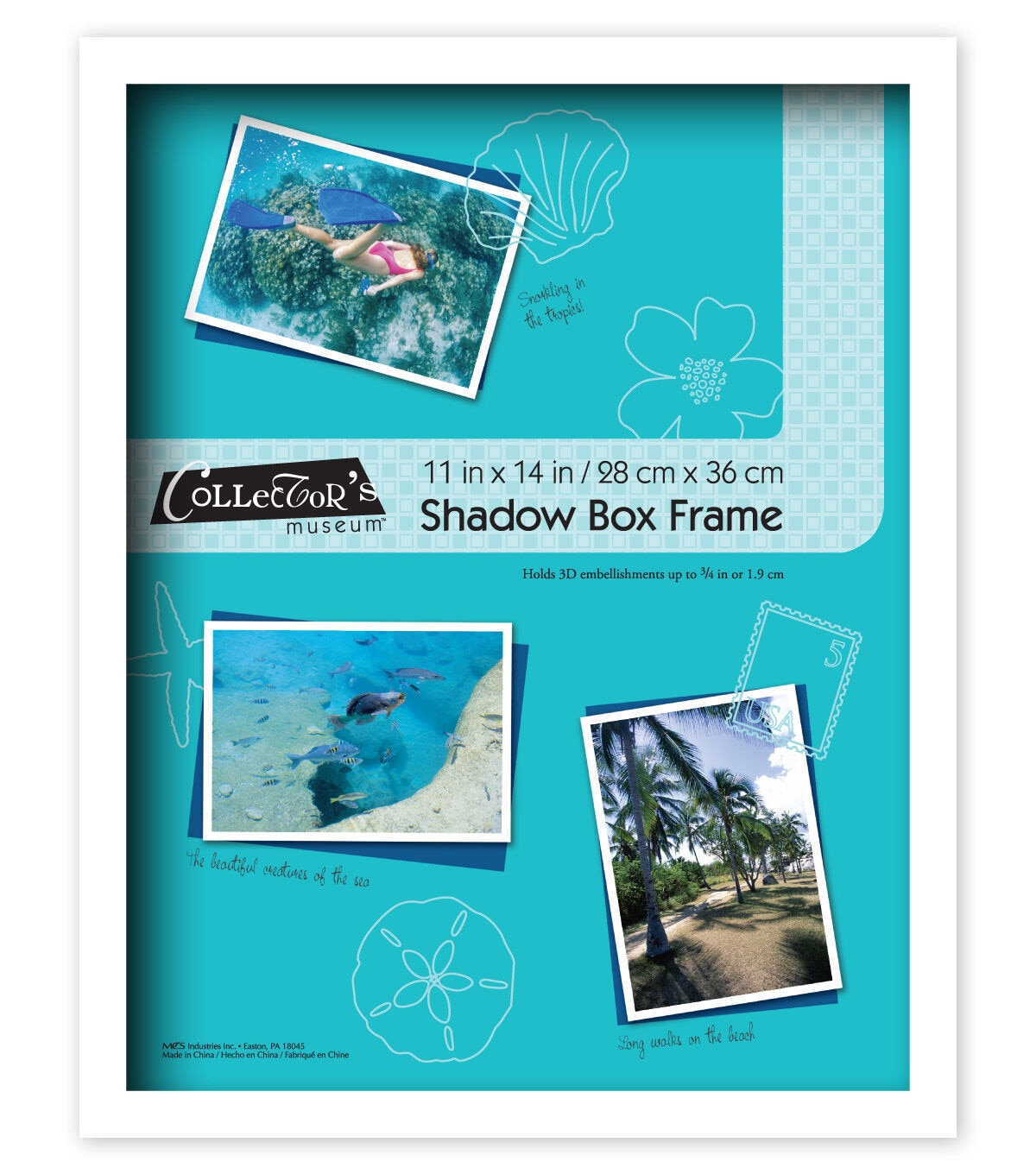 Collector's Museum 11