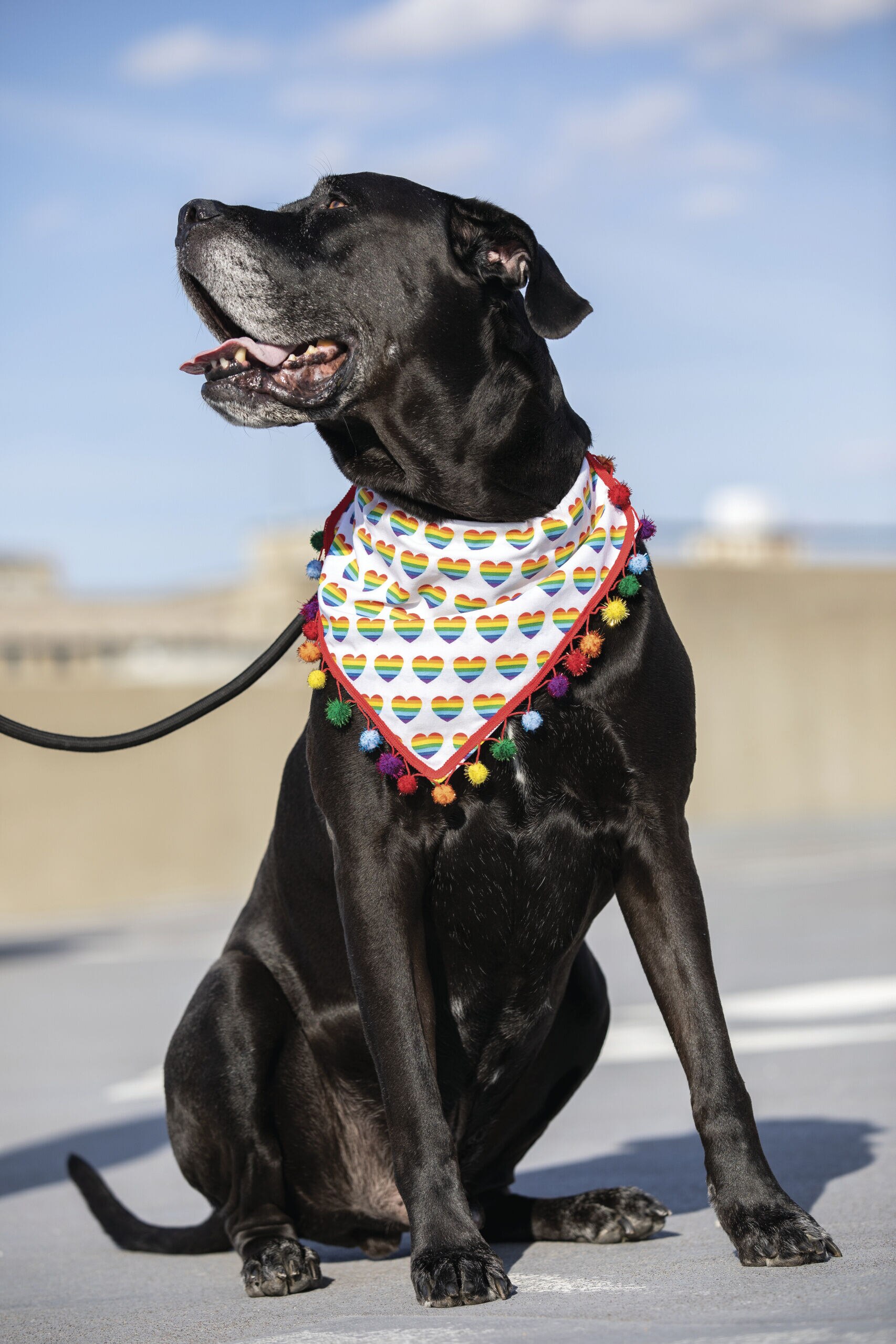 Robert Kaufman Multicolor Hearts Quilt Cotton Fabric by Keepsake Calico