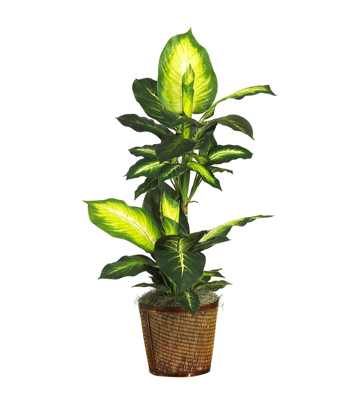 Nearly Natural 42” Golden Dieffenbachia with Basket Silk Plant